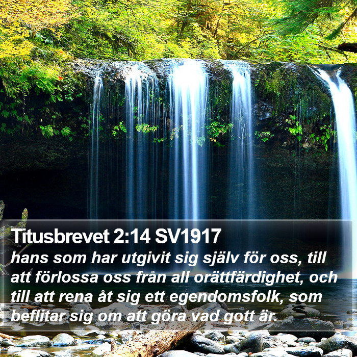 Titusbrevet 2:14 SV1917 Bible Study