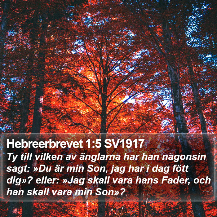 Hebreerbrevet 1:5 SV1917 Bible Study