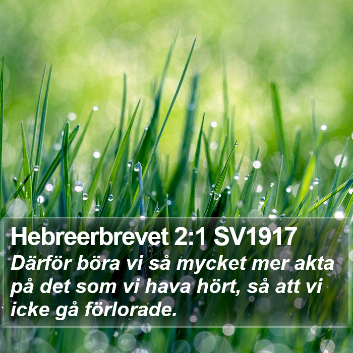 Hebreerbrevet 2:1 SV1917 Bible Study