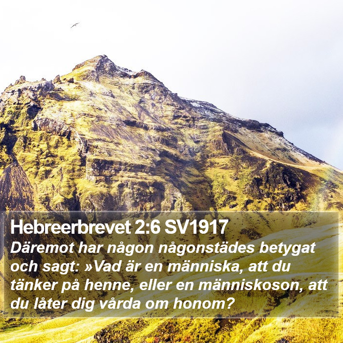 Hebreerbrevet 2:6 SV1917 Bible Study