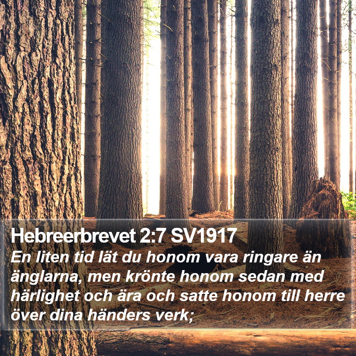 Hebreerbrevet 2:7 SV1917 Bible Study