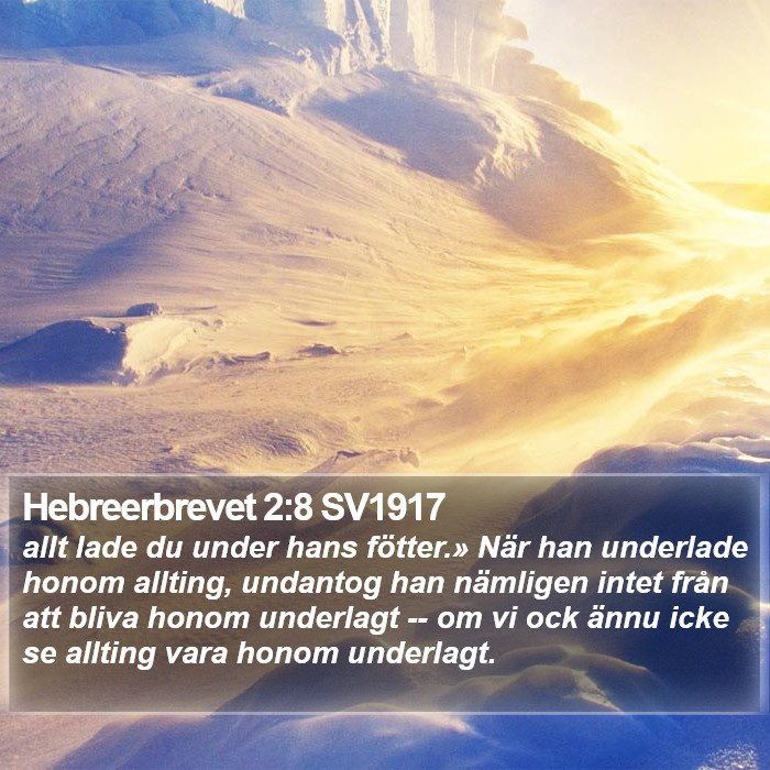 Hebreerbrevet 2:8 SV1917 Bible Study