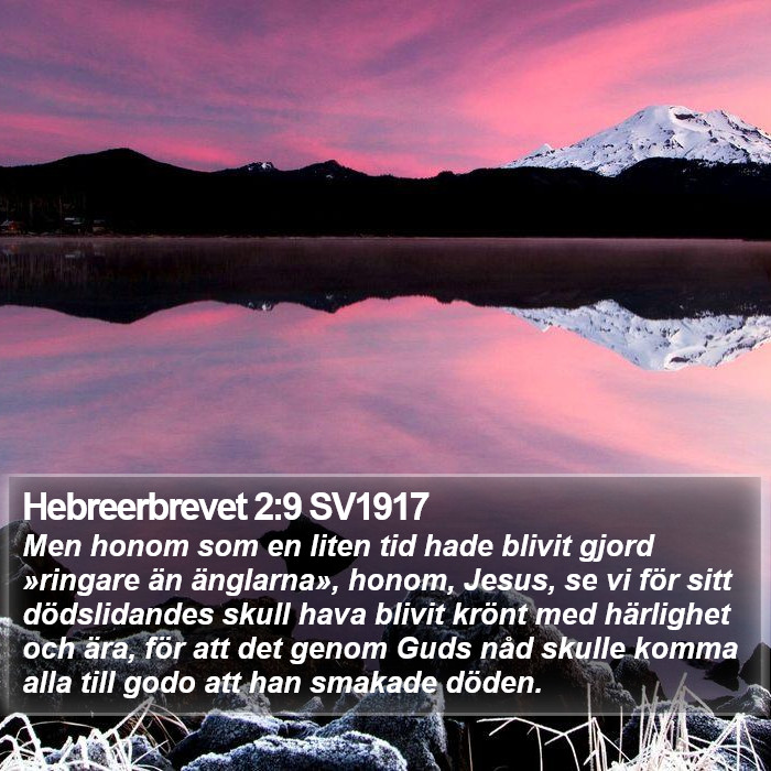 Hebreerbrevet 2:9 SV1917 Bible Study