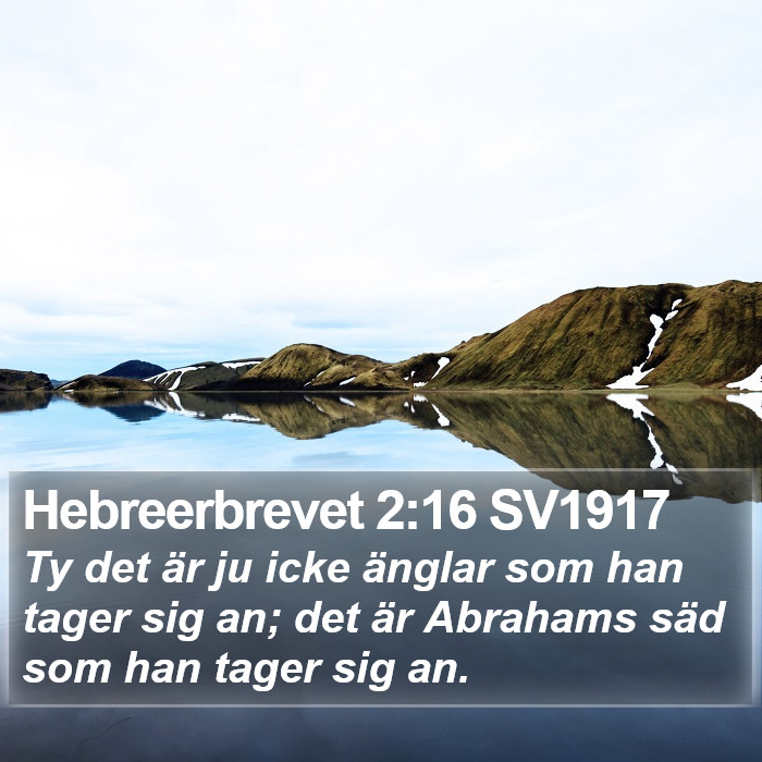 Hebreerbrevet 2:16 SV1917 Bible Study