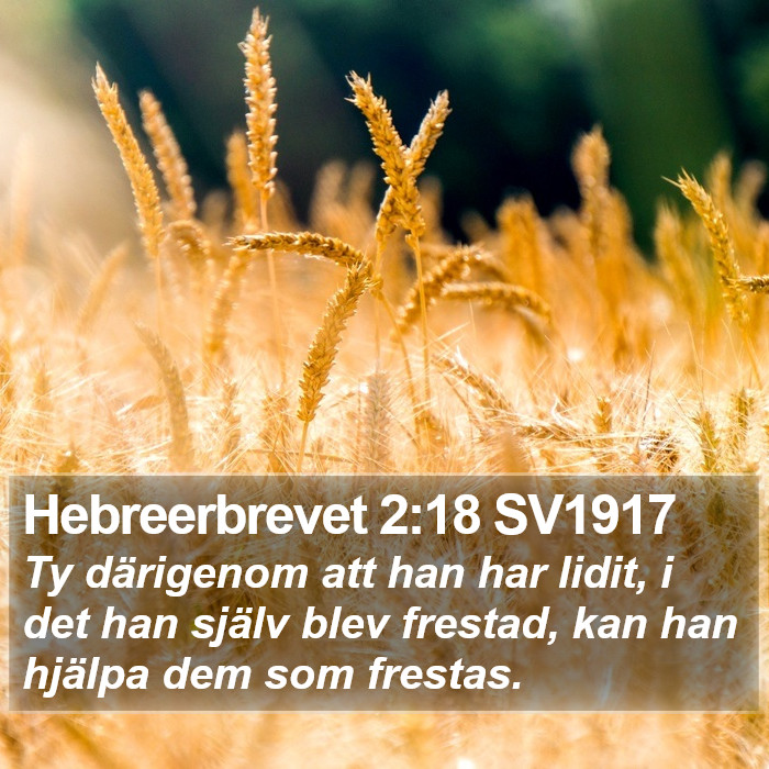 Hebreerbrevet 2:18 SV1917 Bible Study