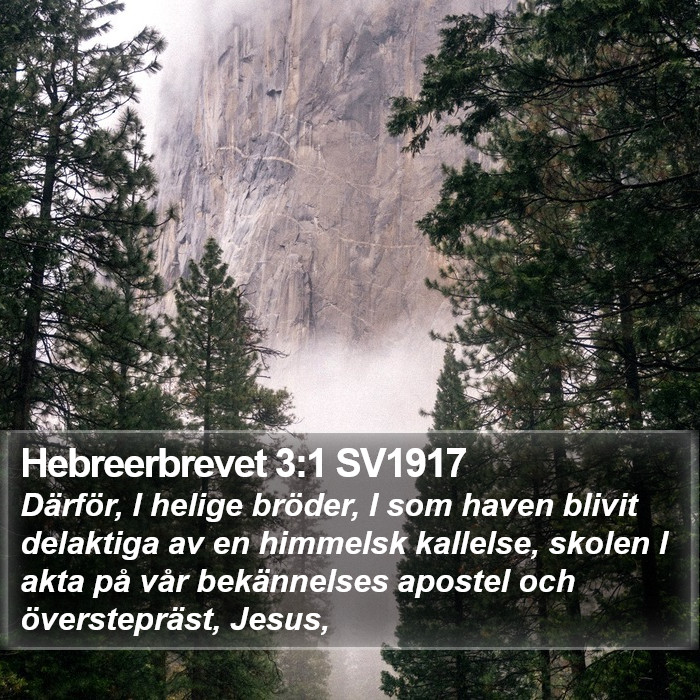 Hebreerbrevet 3:1 SV1917 Bible Study