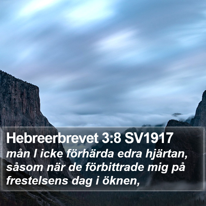 Hebreerbrevet 3:8 SV1917 Bible Study