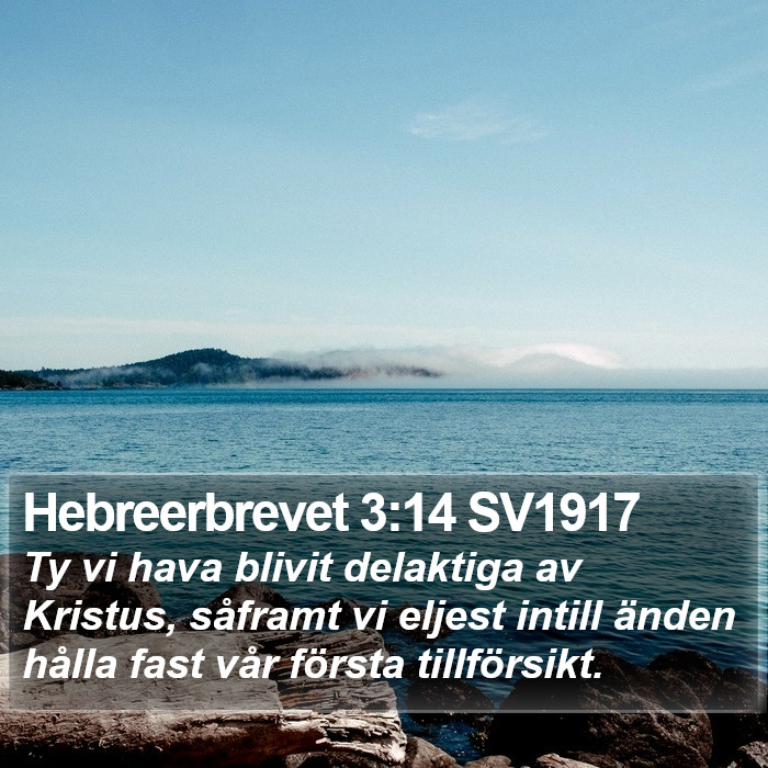 Hebreerbrevet 3:14 SV1917 Bible Study