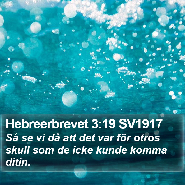 Hebreerbrevet 3:19 SV1917 Bible Study