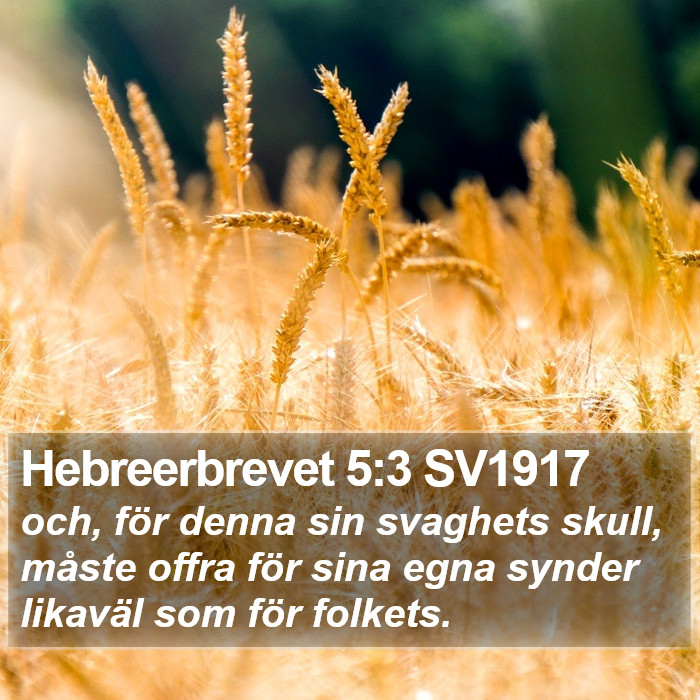 Hebreerbrevet 5:3 SV1917 Bible Study