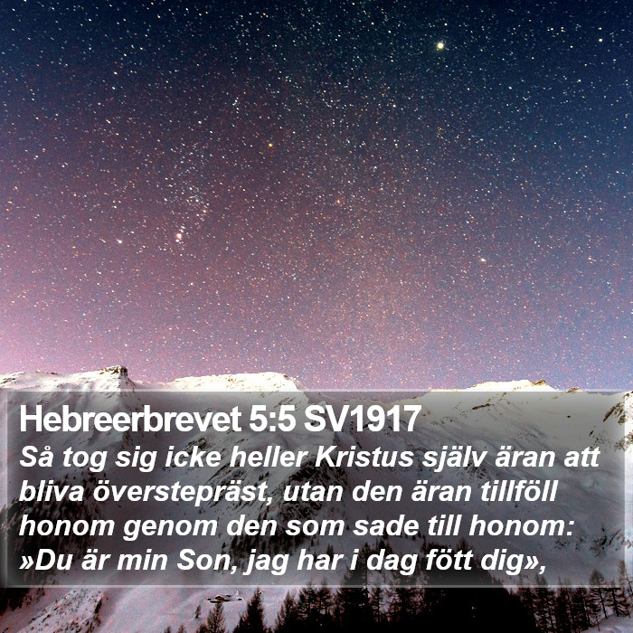 Hebreerbrevet 5:5 SV1917 Bible Study