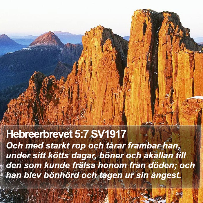 Hebreerbrevet 5:7 SV1917 Bible Study