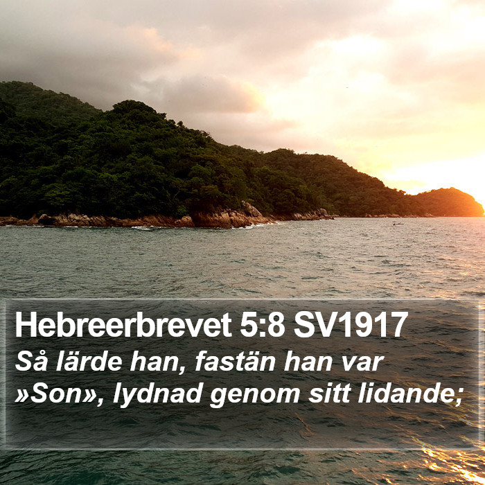 Hebreerbrevet 5:8 SV1917 Bible Study