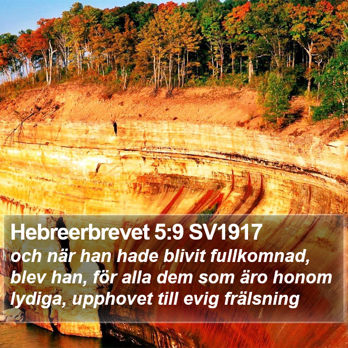 Hebreerbrevet 5:9 SV1917 Bible Study