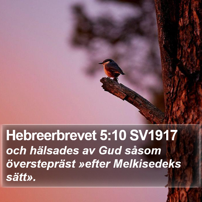 Hebreerbrevet 5:10 SV1917 Bible Study