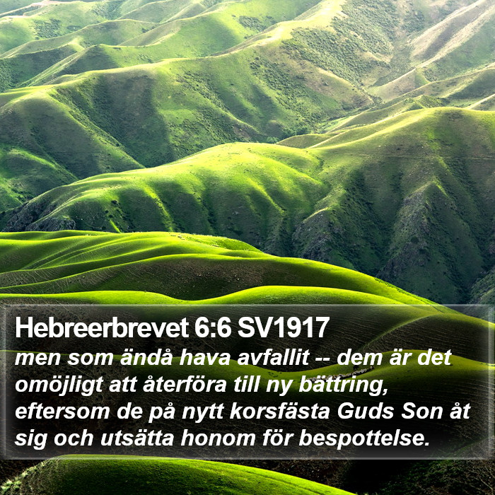 Hebreerbrevet 6:6 SV1917 Bible Study