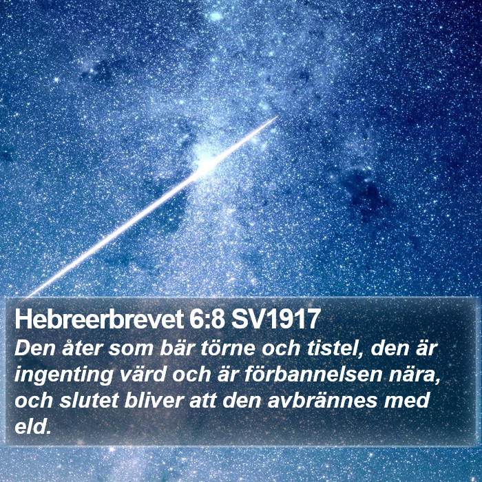 Hebreerbrevet 6:8 SV1917 Bible Study