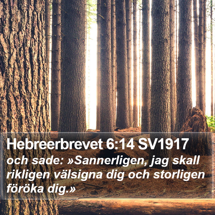 Hebreerbrevet 6:14 SV1917 Bible Study