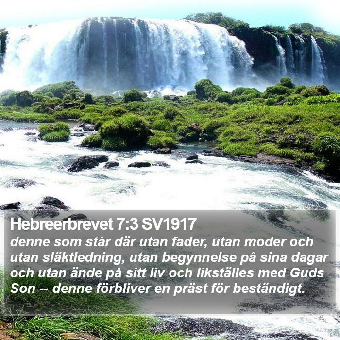 Hebreerbrevet 7:3 SV1917 Bible Study