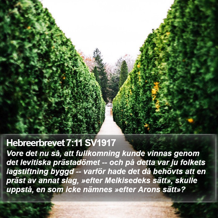 Hebreerbrevet 7:11 SV1917 Bible Study