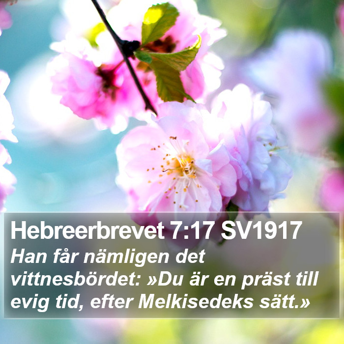 Hebreerbrevet 7:17 SV1917 Bible Study