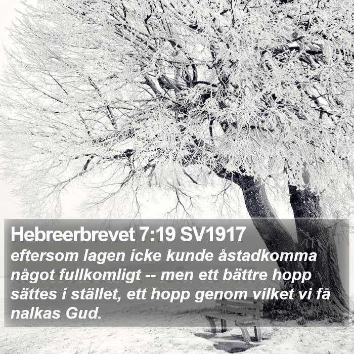 Hebreerbrevet 7:19 SV1917 Bible Study