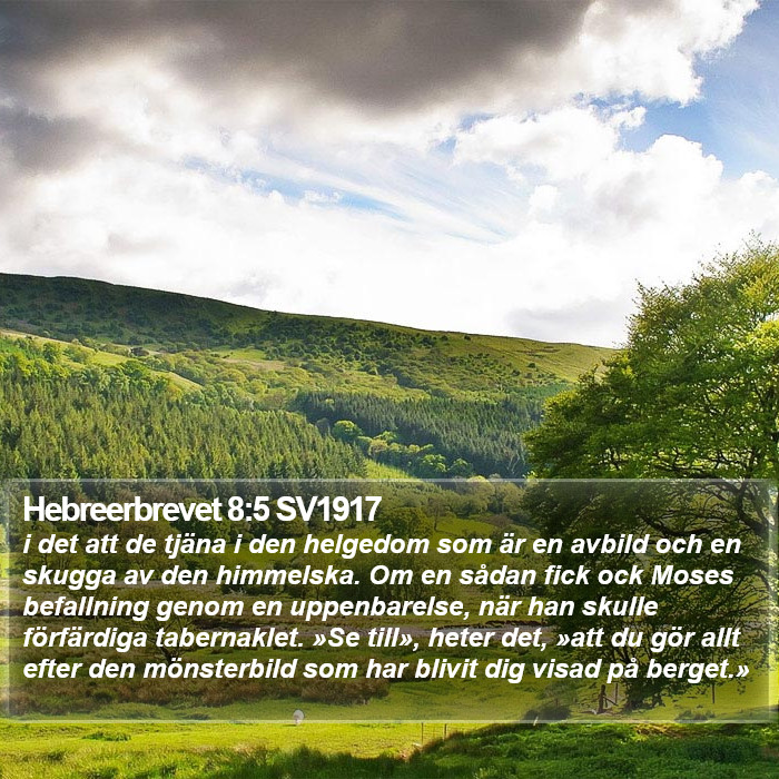 Hebreerbrevet 8:5 SV1917 Bible Study