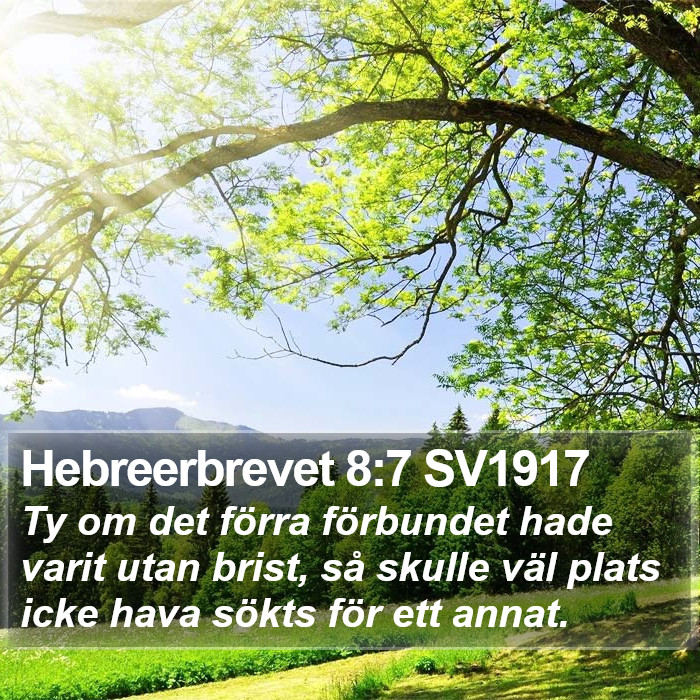 Hebreerbrevet 8:7 SV1917 Bible Study