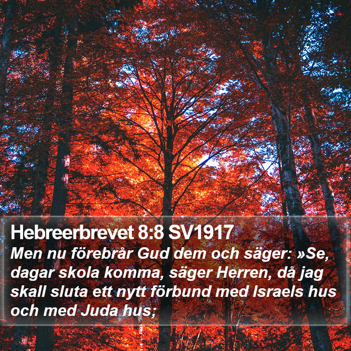 Hebreerbrevet 8:8 SV1917 Bible Study