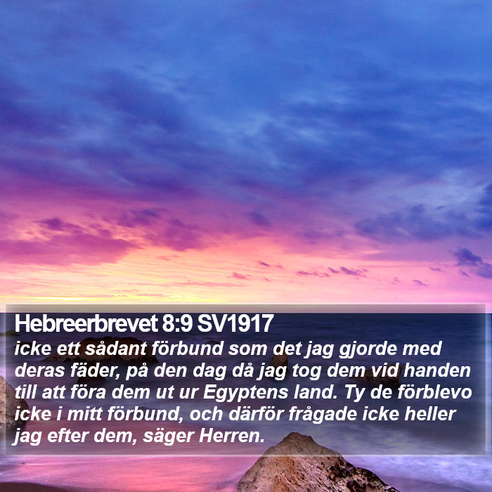 Hebreerbrevet 8:9 SV1917 Bible Study