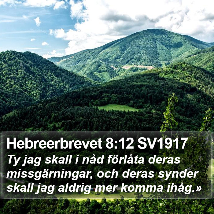 Hebreerbrevet 8:12 SV1917 Bible Study