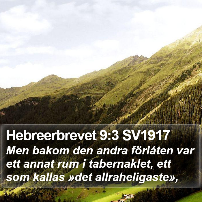 Hebreerbrevet 9:3 SV1917 Bible Study