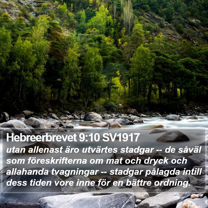 Hebreerbrevet 9:10 SV1917 Bible Study