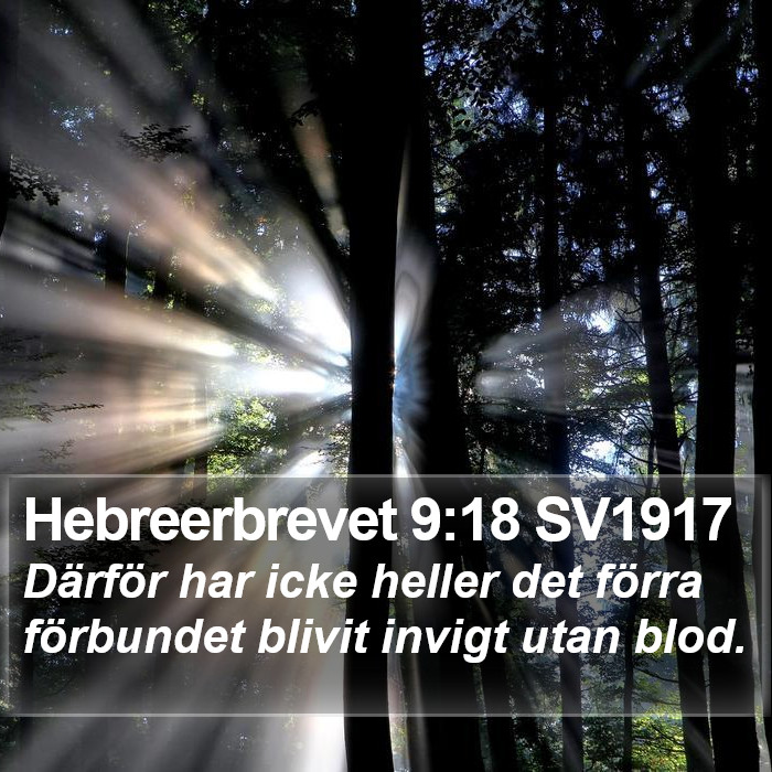 Hebreerbrevet 9:18 SV1917 Bible Study