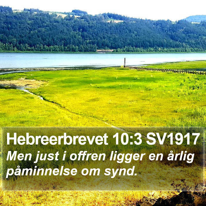 Hebreerbrevet 10:3 SV1917 Bible Study