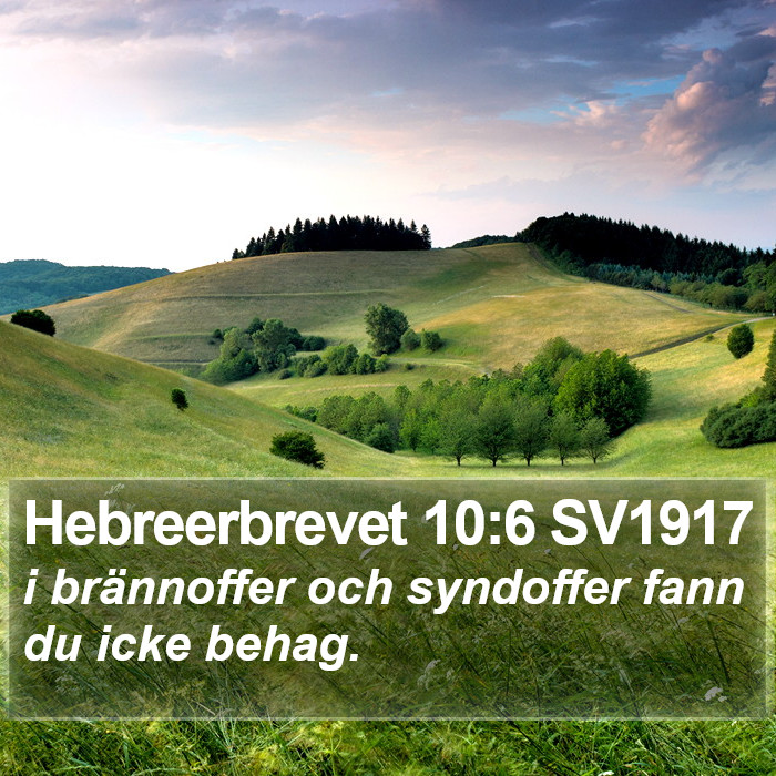 Hebreerbrevet 10:6 SV1917 Bible Study