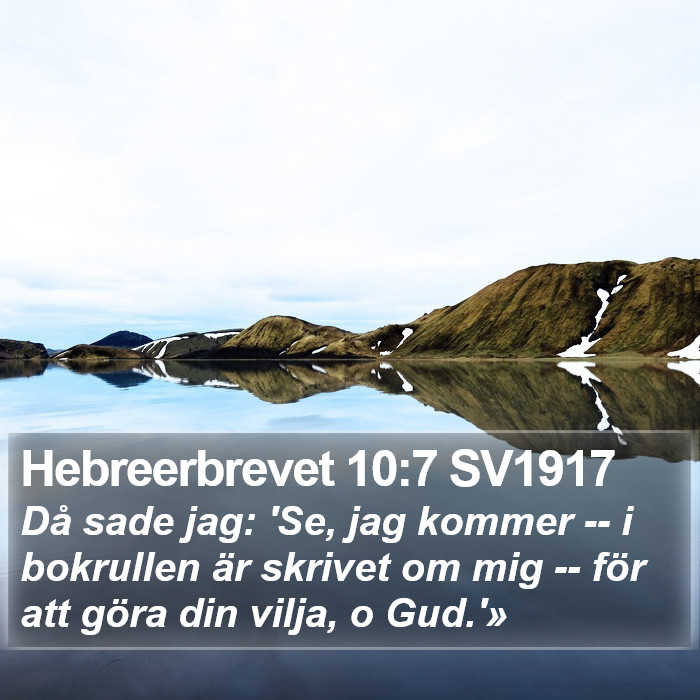 Hebreerbrevet 10:7 SV1917 Bible Study