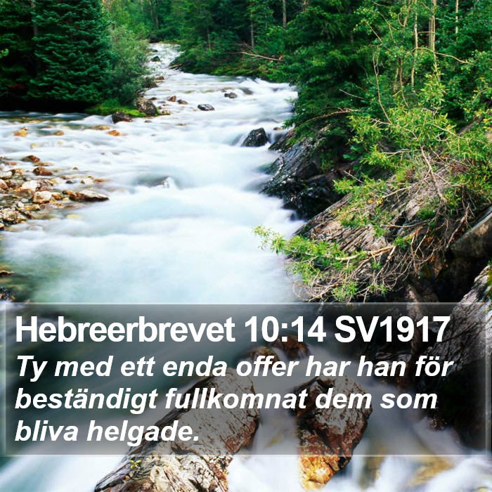 Hebreerbrevet 10:14 SV1917 Bible Study