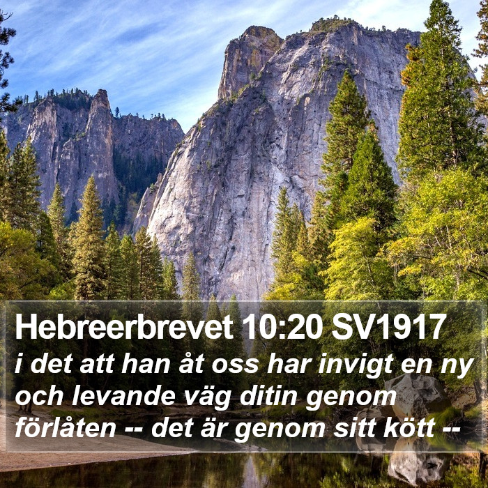 Hebreerbrevet 10:20 SV1917 Bible Study