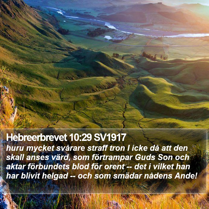 Hebreerbrevet 10:29 SV1917 Bible Study