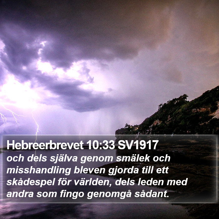 Hebreerbrevet 10:33 SV1917 Bible Study