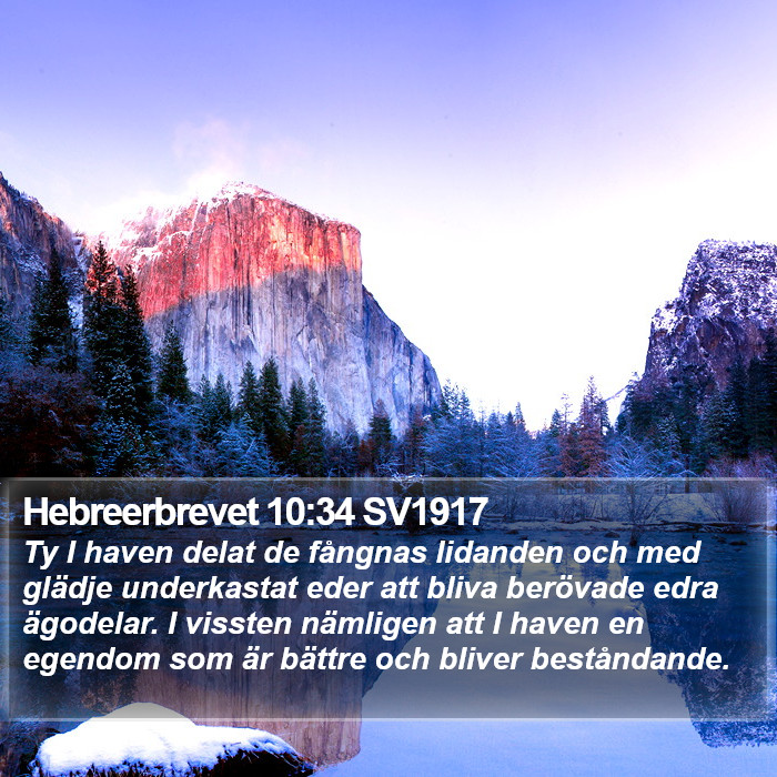 Hebreerbrevet 10:34 SV1917 Bible Study