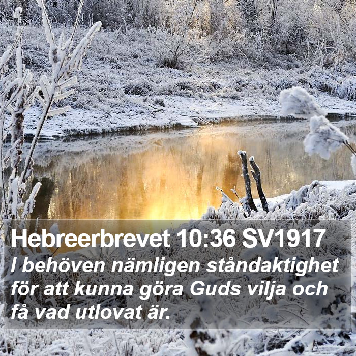 Hebreerbrevet 10:36 SV1917 Bible Study