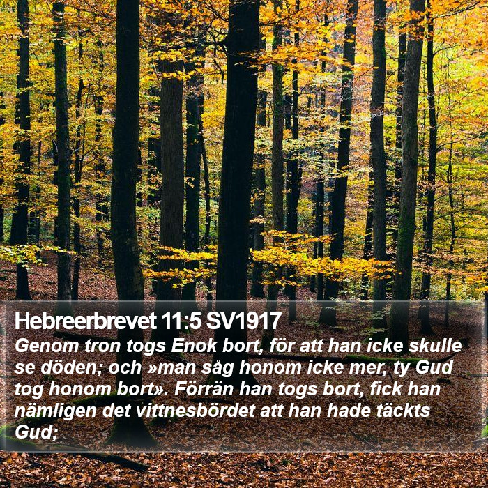 Hebreerbrevet 11:5 SV1917 Bible Study