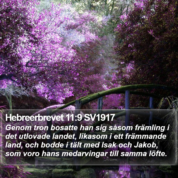 Hebreerbrevet 11:9 SV1917 Bible Study