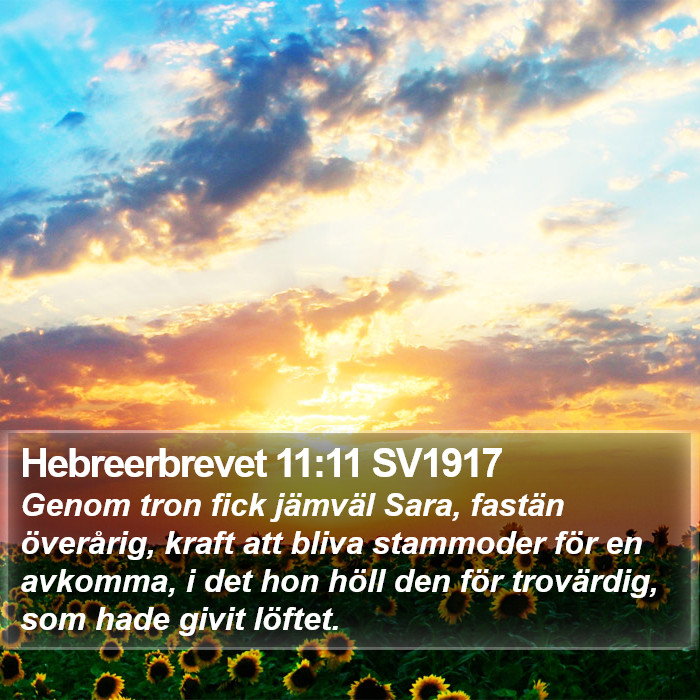 Hebreerbrevet 11:11 SV1917 Bible Study