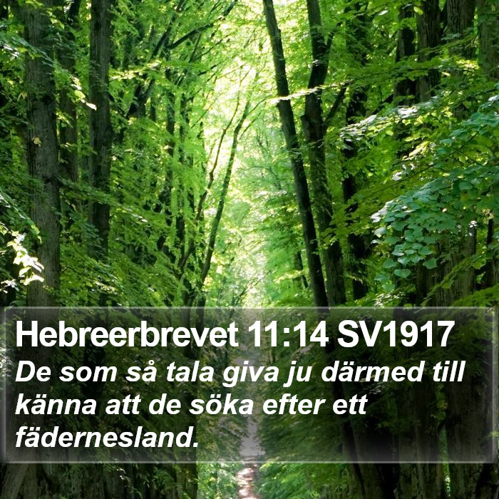 Hebreerbrevet 11:14 SV1917 Bible Study