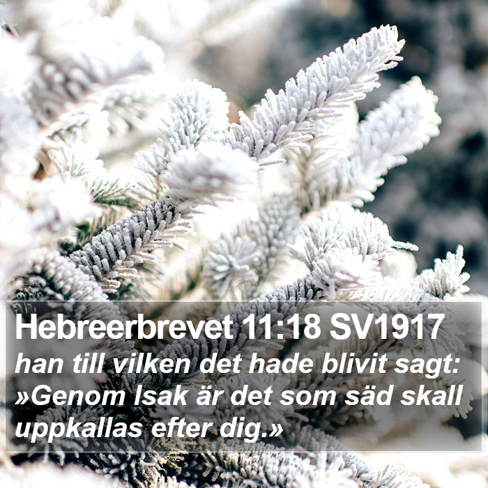 Hebreerbrevet 11:18 SV1917 Bible Study