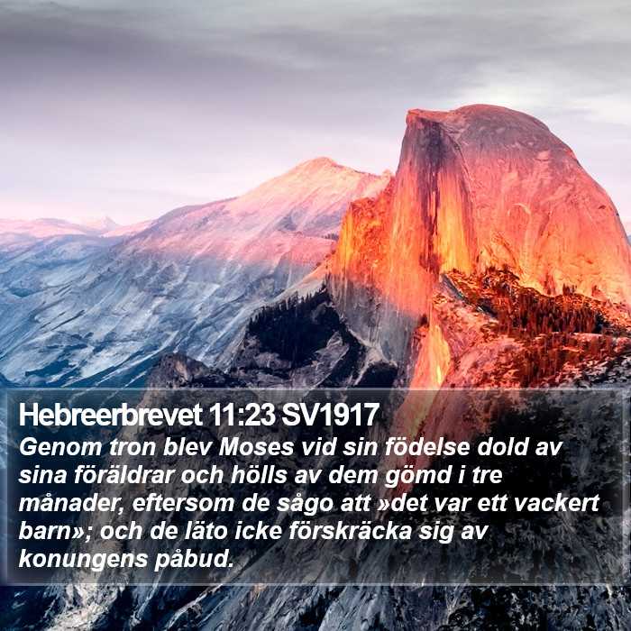 Hebreerbrevet 11:23 SV1917 Bible Study