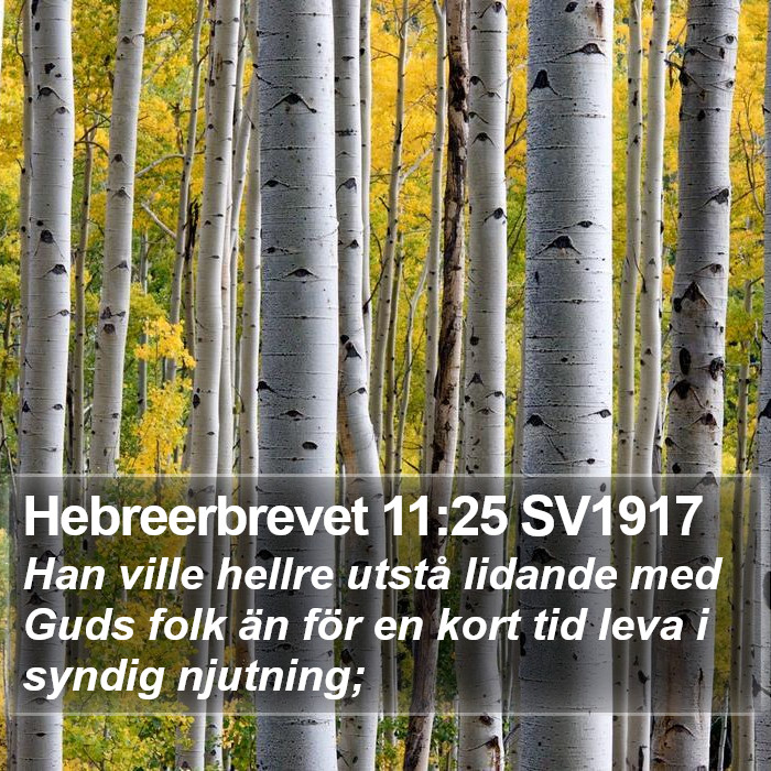 Hebreerbrevet 11:25 SV1917 Bible Study